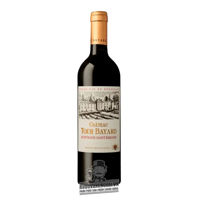 Vang Pháp Chateau Tour Bayard Montagne Saint Emilion