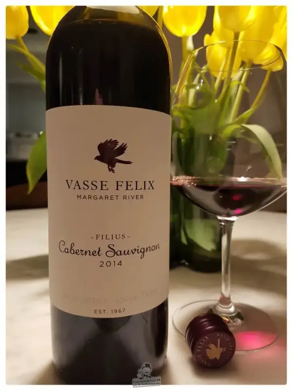 Vang Úc Vasse Felix Filius Cabernet Sauvignon