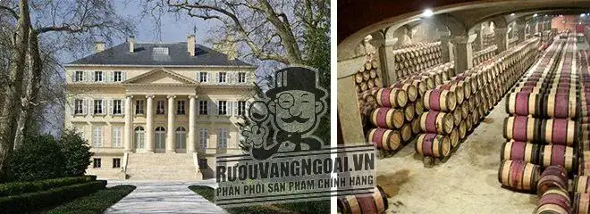 Vang Pháp CHATEAU LA FORTUNE MARGAUX