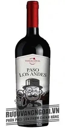 Vang Chi lê Paso Los Andes Reserva - Rượu bia nhập khẩu