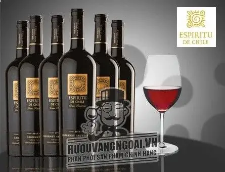 Káº¿t quáº£ hÃ¬nh áº£nh cho espiritu de chile gran reserva cabernet sauvignon