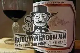 Vang Chile Montes Alpha Syrah