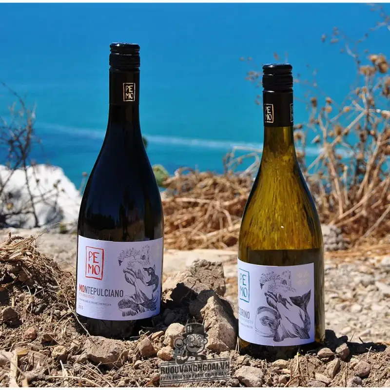 Mua vang y pemo pecorino terre di chieti giá rẻ tại Hà Nội