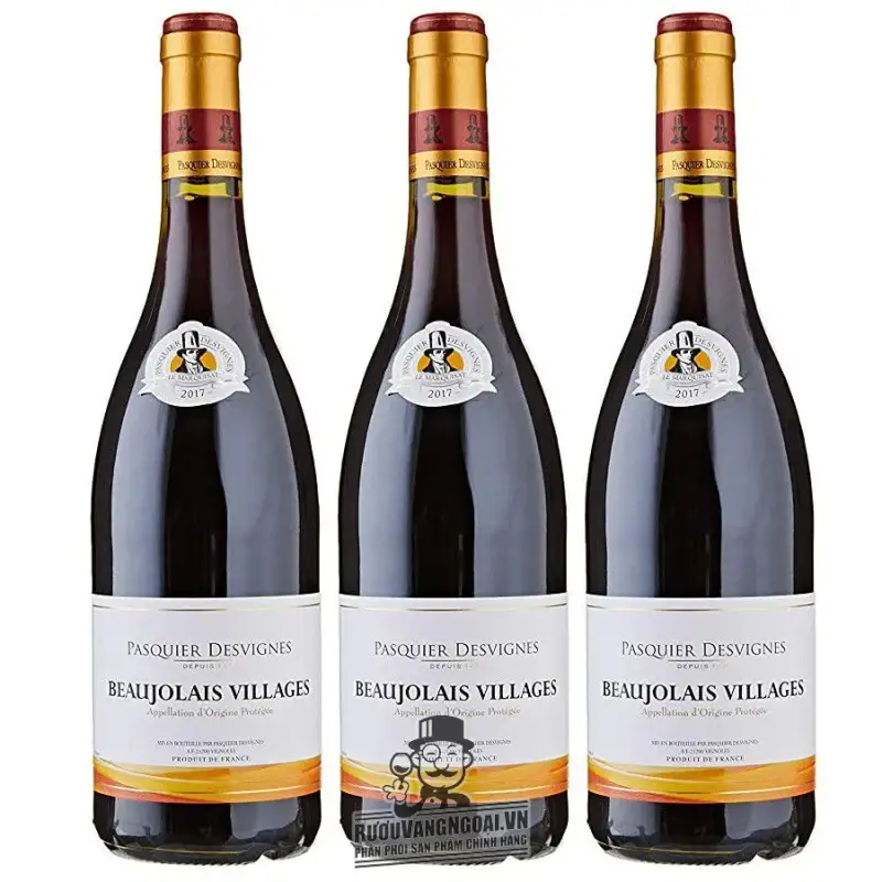Vang Pháp Beaujolais Villages Pasquier Desvignes uống ngon