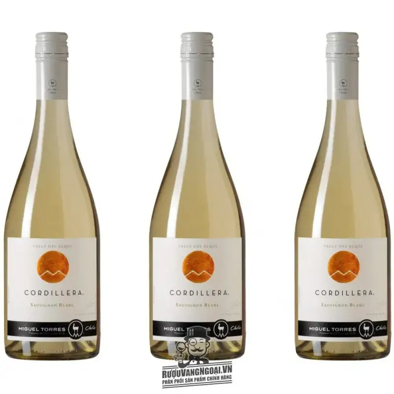 Địa chỉ bán vang chile cordillera miguel torres sauvignon blanc giá rẻ tại Hà Nội