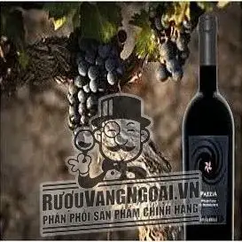 Vang ý PAZZIA Primitivo di Manduria