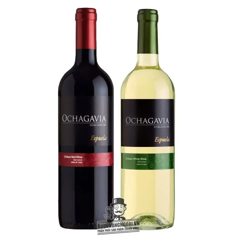 Vang Chile OCHAGAVIA ESPUELA White