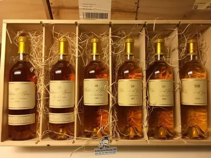 Vang Pháp Château d Yquem Sauternes