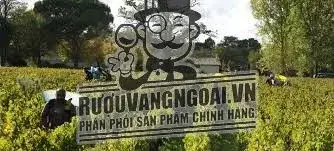 Káº¿t quáº£ hÃ¬nh áº£nh cho chateau peyredon lagravette 2016