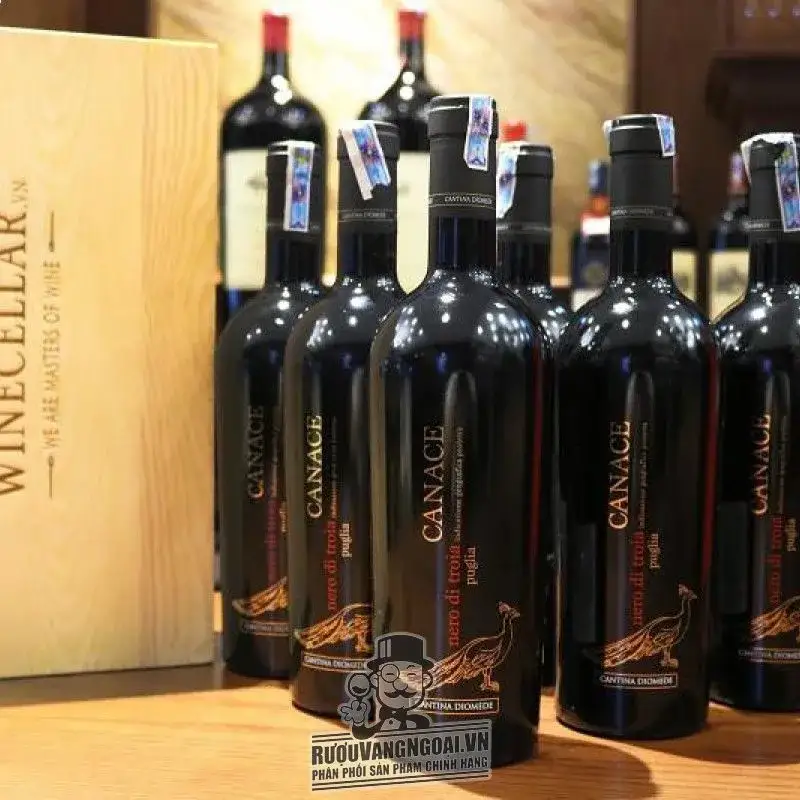 Rượu Vang Ý CANACE NERO DI TROIA