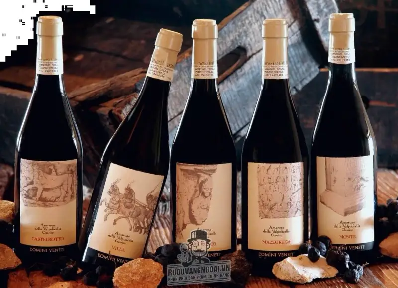 Vang Ý Amarone San Rocco