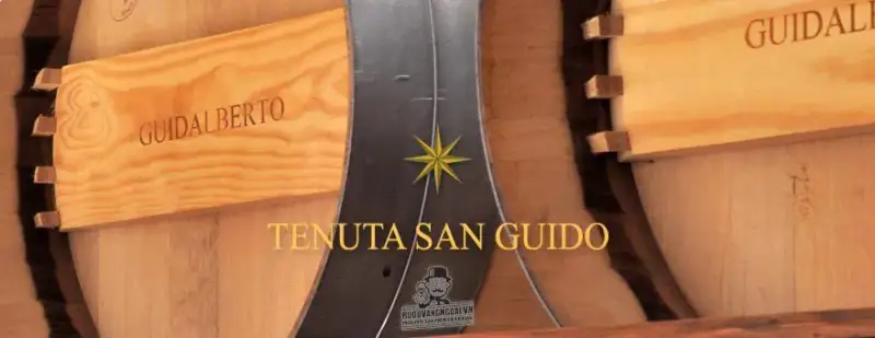 Vang Ý Tenuta San Guido Guidalberto Toscana