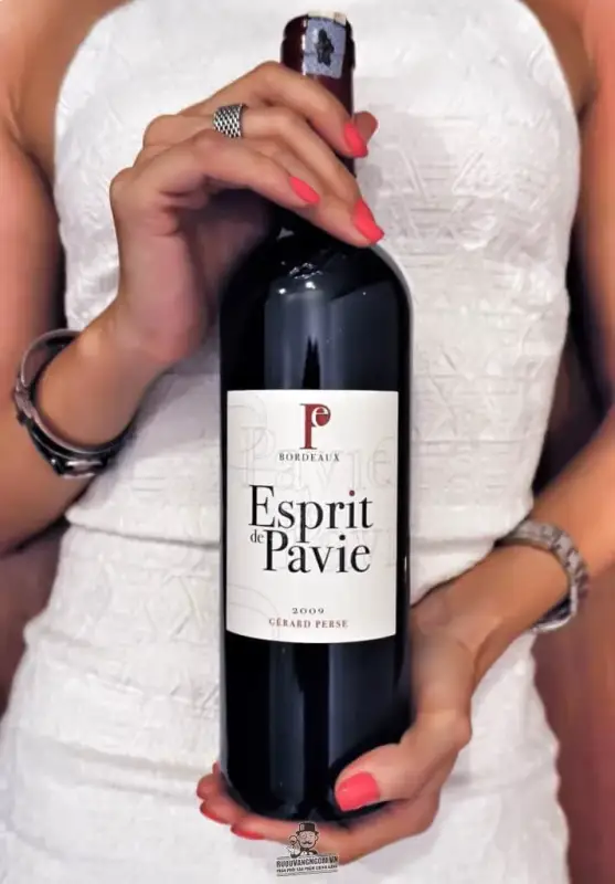 Vang Pháp Esprit de Pavie Merlot