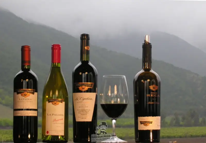 Vang Chile La Capitana Cabernet Sauvignon