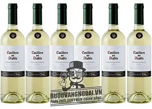 Vang Chile Casillero Del Diablo Sauvignon Blanc