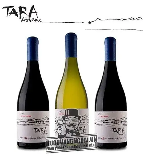 Vang Chile TARA Atacama Chardonnay