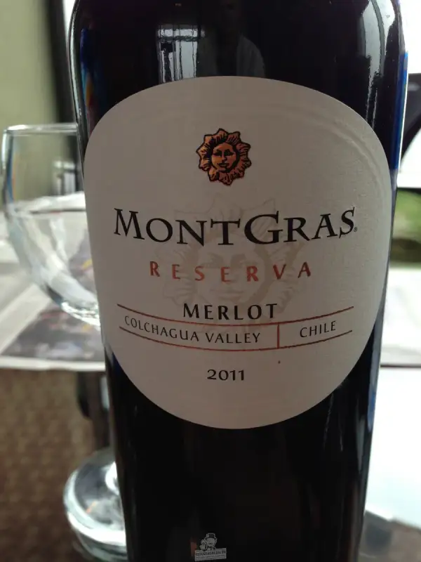 Vang Chile MONTGRAS Reserva Merlot