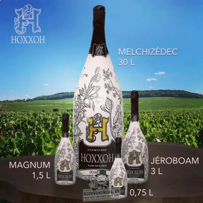 Rượu Champagne HOXXOH Blanc De Blancs Phát sáng