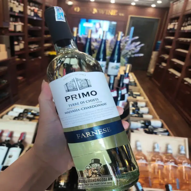Giá vang y primo malvasia chardonnay