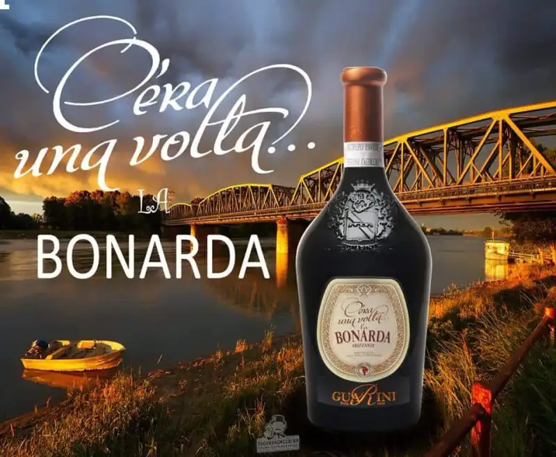 Bonarda Losito & Guarini C Era Una Volta