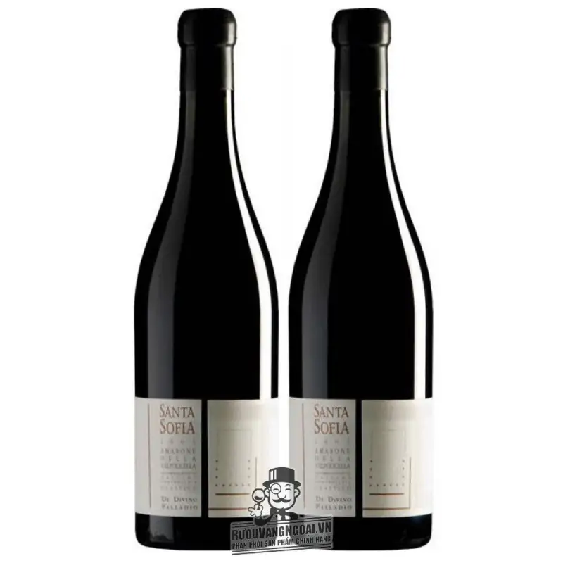 sofia amarone della valpolicella palladio giá bao nhiêu