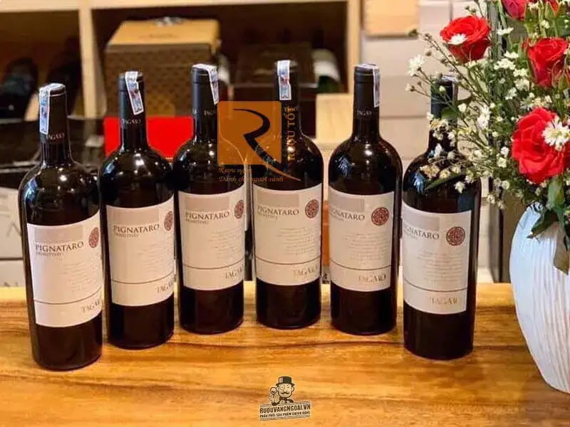 Vang Ý Pignataro Tagaro Primitivo Di Manduria